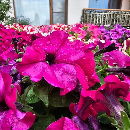 Diamond Sarafovo By Kp - Luxury Collection, 6 * Burgaz