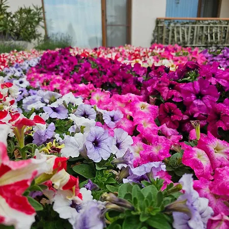 Diamond Sarafovo By Kp - Luxury Collection, 6 Apartment