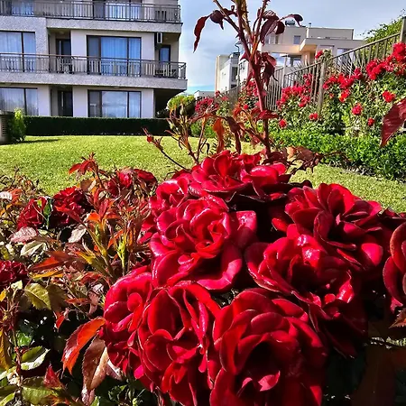 Diamond Sarafovo By Kp - Luxury Collection, 6 Appartement *