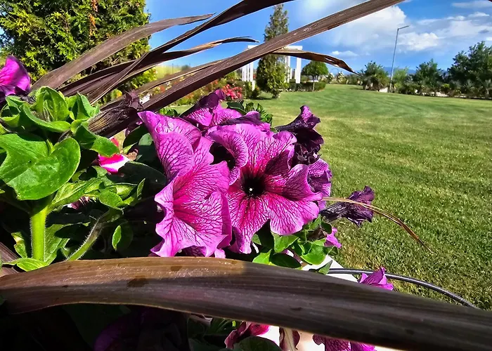 Diamond Sarafovo By Kp - Luxury Collection, 6 *