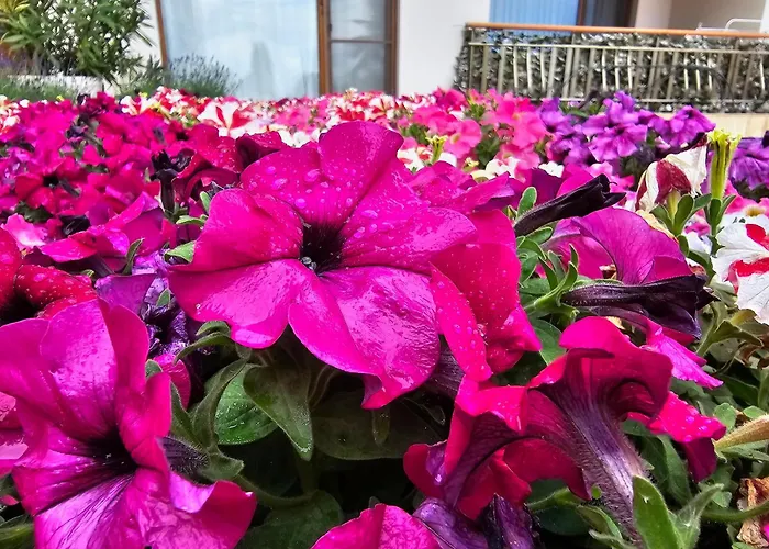 Diamond Sarafovo By Kp - Luxury Collection, 6 * Бургас