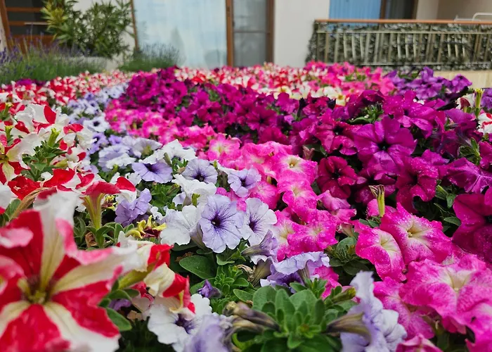 Diamond Sarafovo By Kp - Luxury Collection, 6 Апартамент